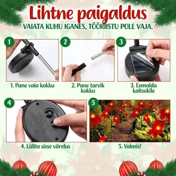 POINSETTIKA-3831127626204-EE-6__201125.webp