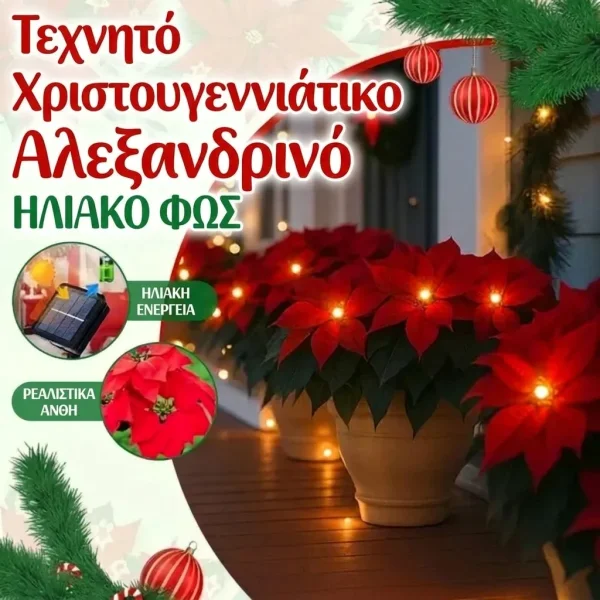 Ηλιακό φωτιστικό Αλεξανδρινού | POINSETTIKA