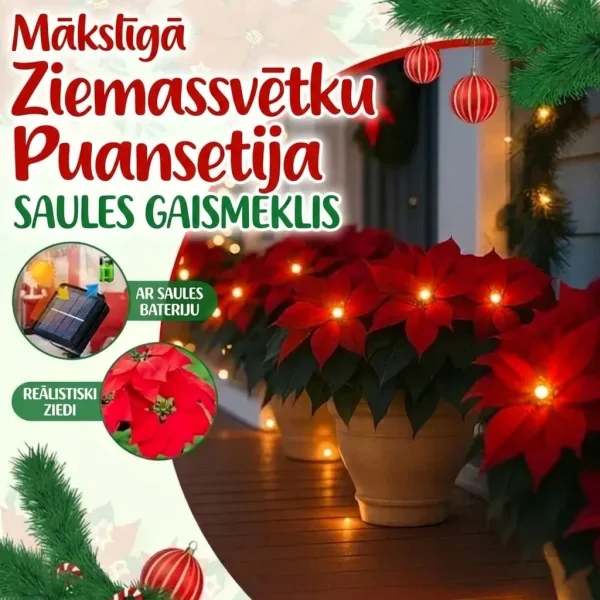 Saules poinsetijas lampa | POINSETTIKA