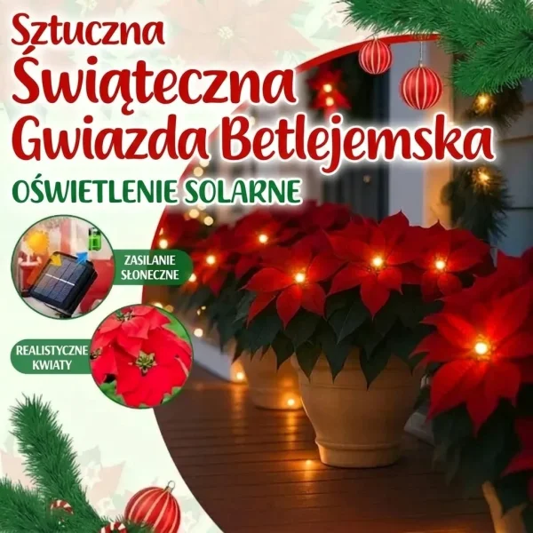 Solarna lampa poinsecja | POINSETTIKA