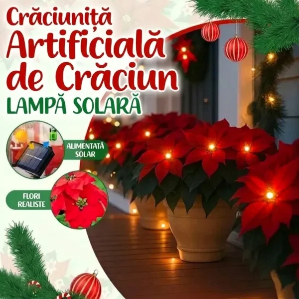 Lumină solară Poinsettia | POINSETTIKA