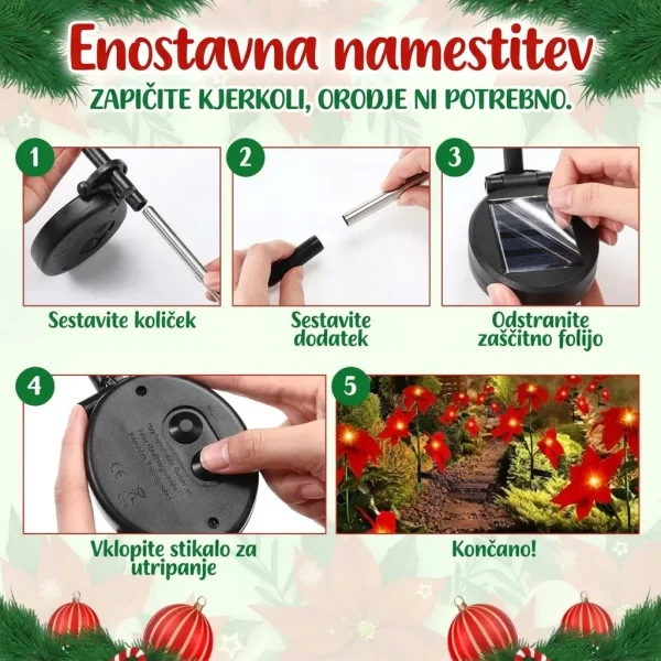 POINSETTIKA-3831127626204-SI-6__201125.webp