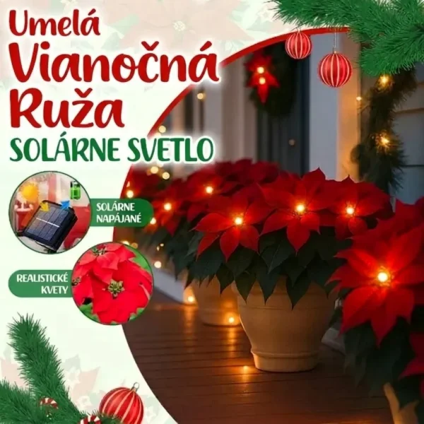 Solárne Poinsettia svetlo | POINSETTIKA