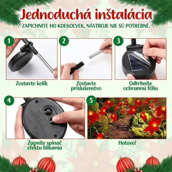 POINSETTIKA-3831127626204-SK-6__201125.webp