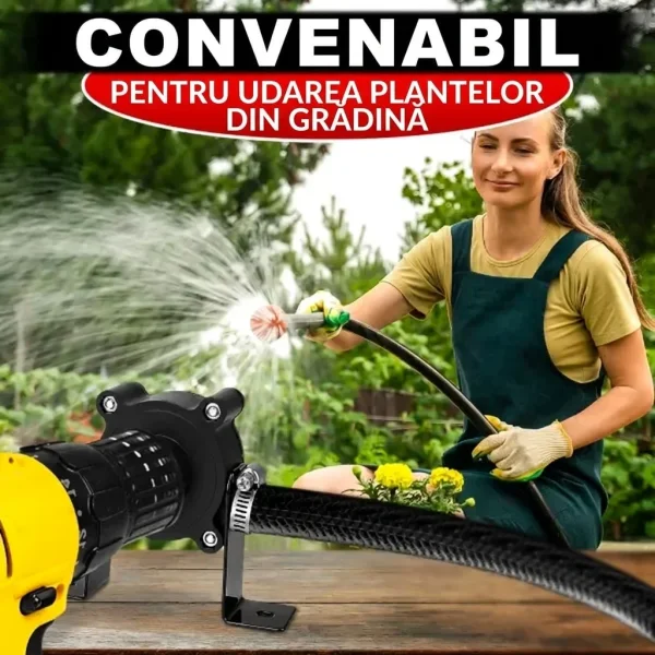 PUMPION-3831127635227-RO-3__040226.webp