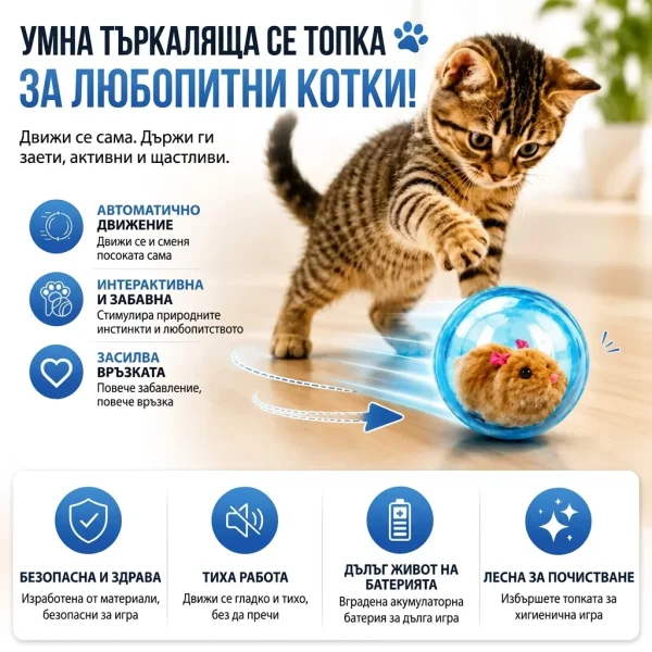 ROLLYPET-3831127661493-BG-5__270726.webp
