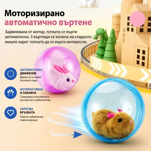 ROLLYPET-3831127661493-BG-6__270726.webp