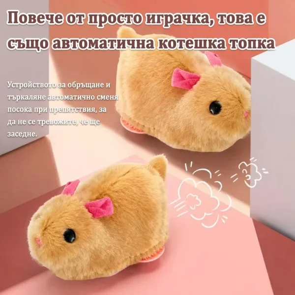 ROLLYPET-3831127661493-BG-9__270726.webp