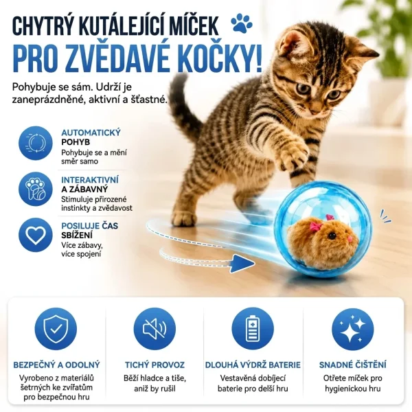 ROLLYPET-3831127661493-CZ-5__270726.webp