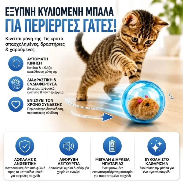 ROLLYPET-3831127661493-GR-5__270726.webp