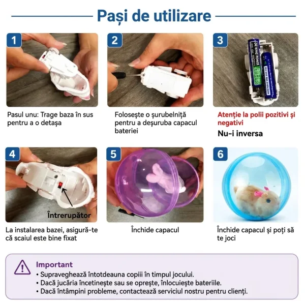 ROLLYPET-3831127661493-MD-10__270726.webp