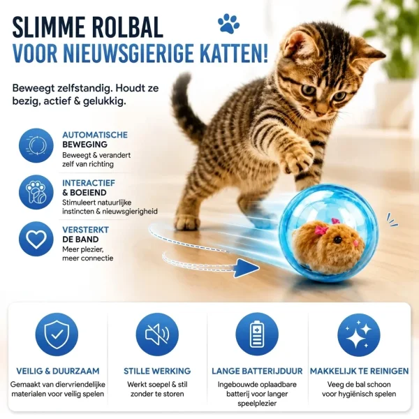 ROLLYPET-3831127661493-NL-5__270726.webp