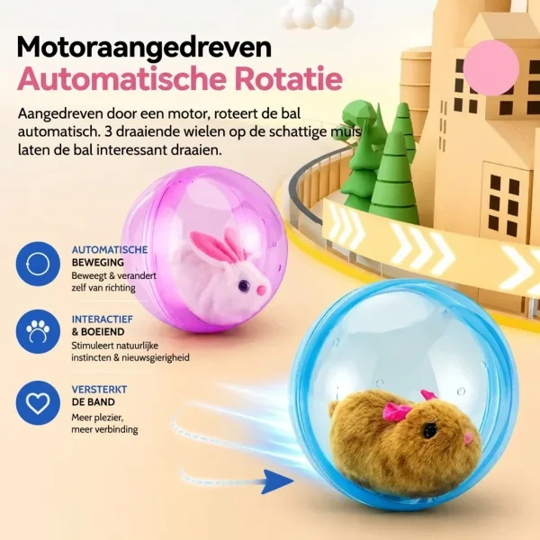 ROLLYPET-3831127661493-NL-6__270726.webp