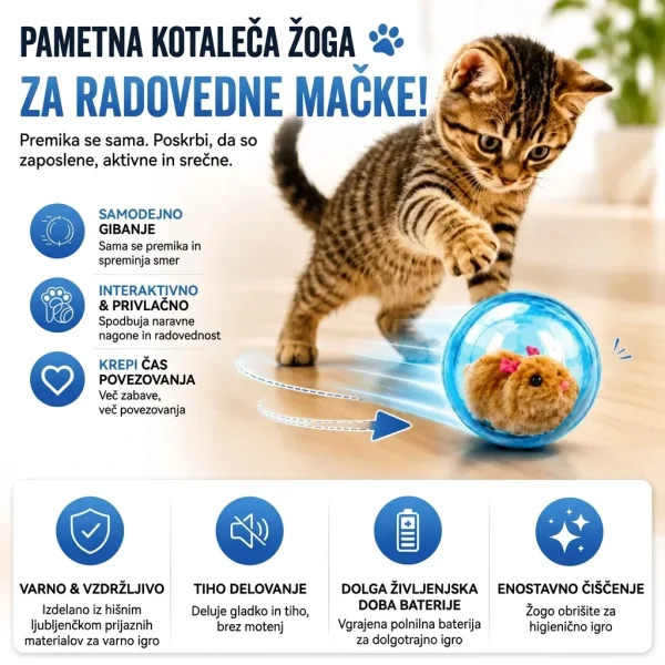 ROLLYPET-3831127661493-SI-5__270726.webp