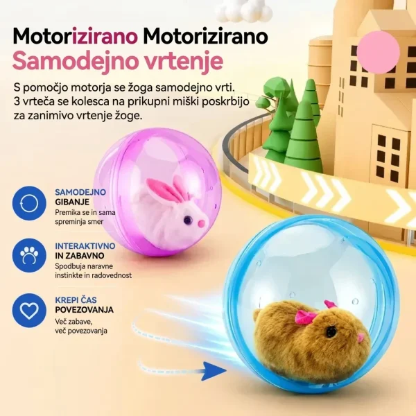 ROLLYPET-3831127661493-SI-6__270726.webp