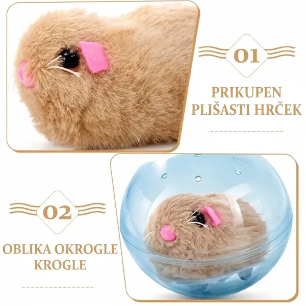 ROLLYPET-3831127661493-SI-7__270726.webp