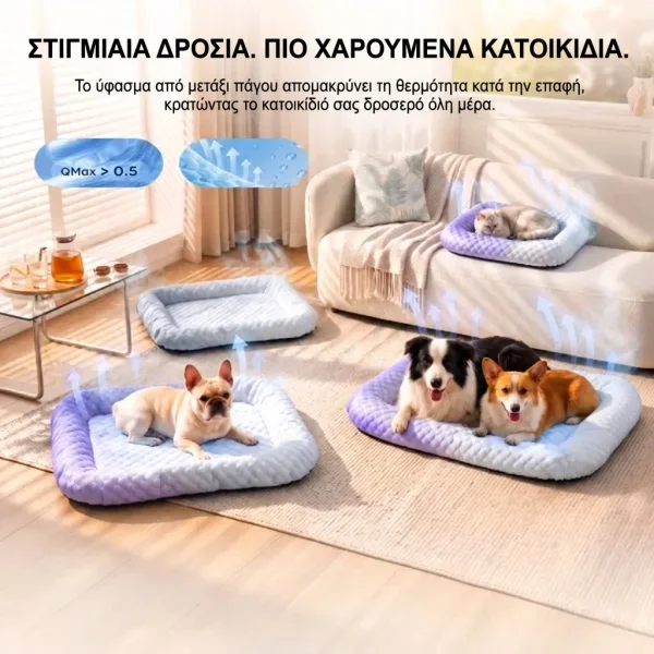 TAILCHILL-3831127663740-GR-71__131026.webp