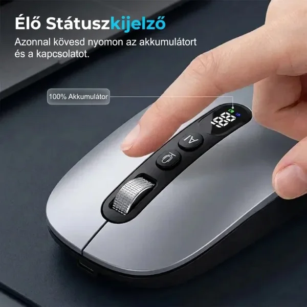 VOICEMOU-3831127659434-HU-4__140726.webp