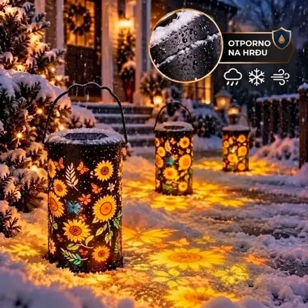 b93706bc70201_SOLABLOOM-3831127656676-HR-5__300926.webp