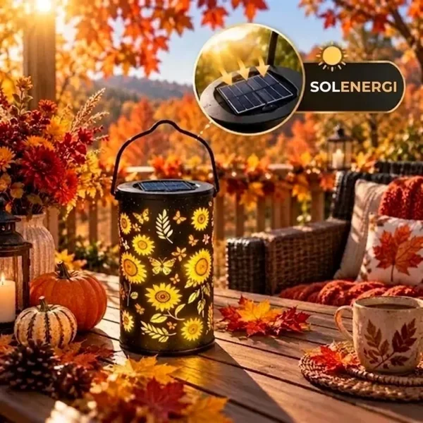 e46dd1e26d7a7_SOLABLOOM-3831127656676-DK-7__300926.webp