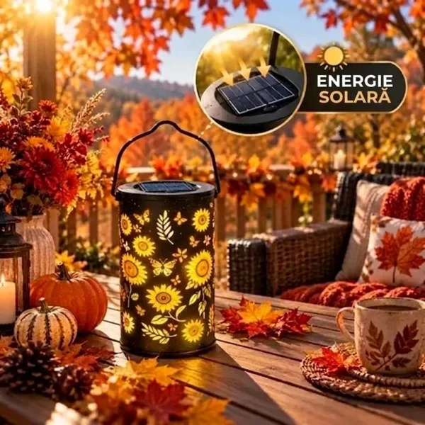 e46dd1e26d7a7_SOLABLOOM-3831127656676-RO-7__300926.webp