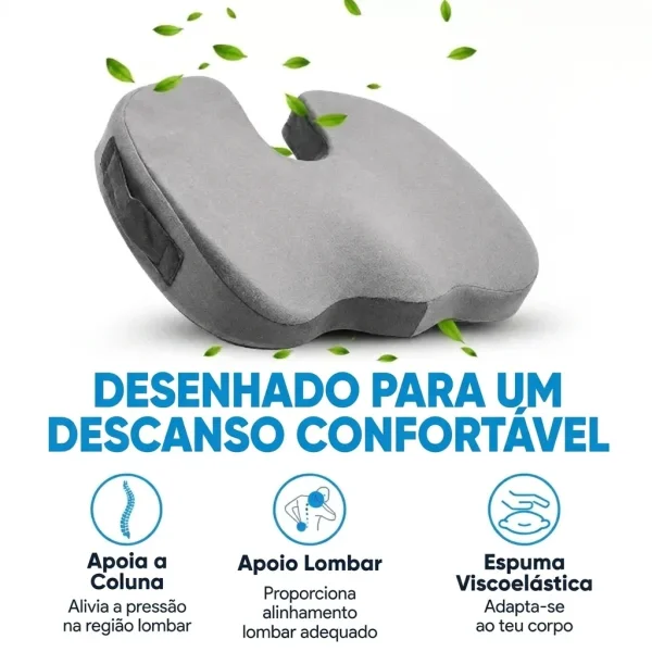 ecaa8c8eac0058_MAXICOMFORT-3831127520570-PT-2__290926.webp