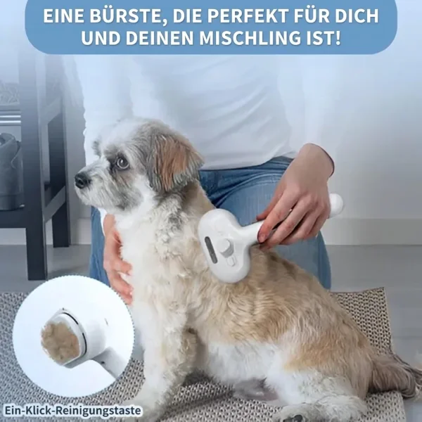 f1359107c3bf_GROOMSY-3831127599696-AT-525252__300926.webp