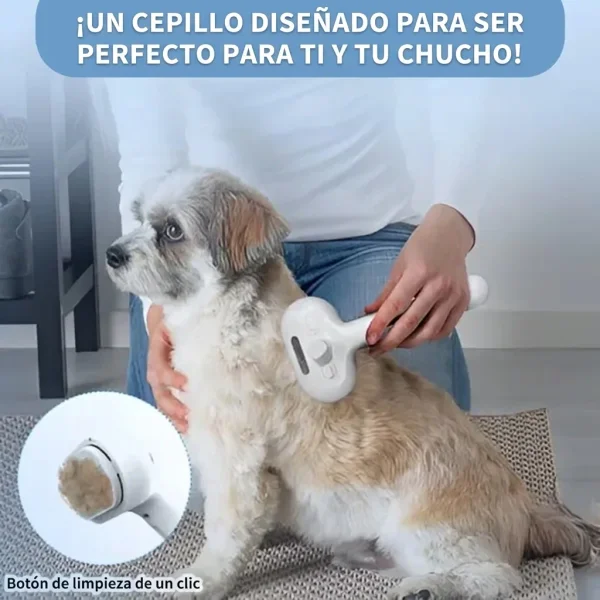 f1359107c3bf_GROOMSY-3831127599696-ES-525252__300926.webp