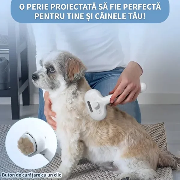 f1359107c3bf_GROOMSY-3831127599696-RO-525252__300926.webp
